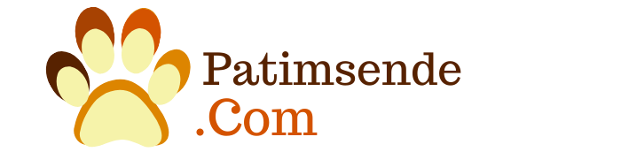 Patimsende.com